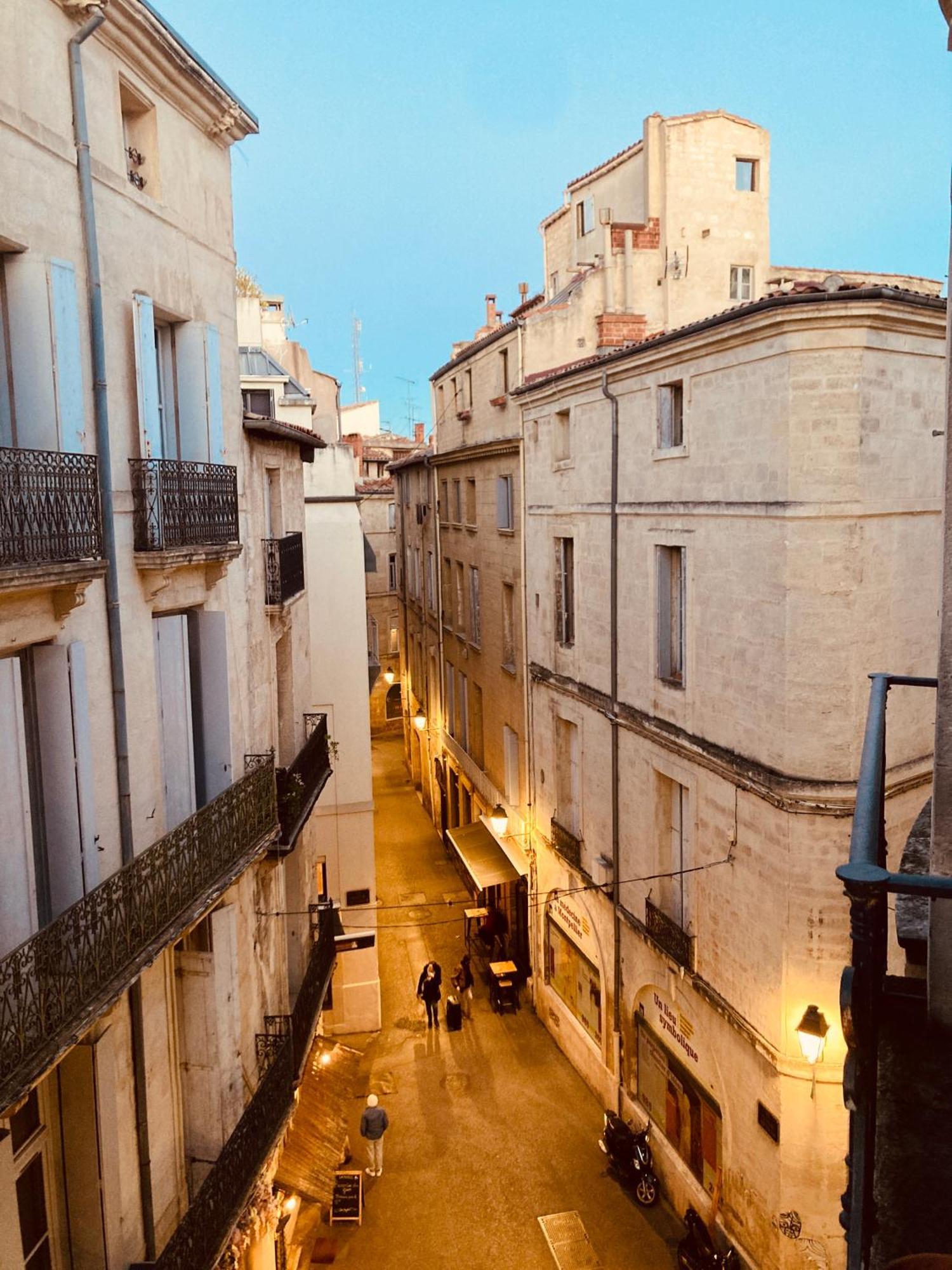 Grand Studio Plein Centre Montpellier Bagian luar foto